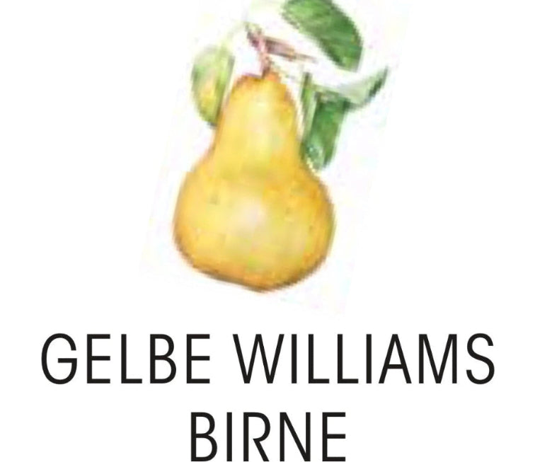 gelbe Williams Birne