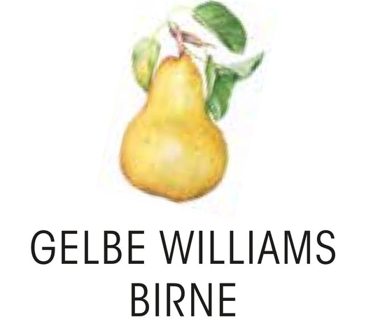 gelbe Williams Birne